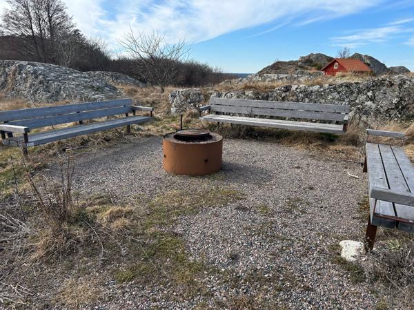 Public fire pit with wooden benches accessible from adjacent road.
